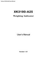 XK3190-A25 user